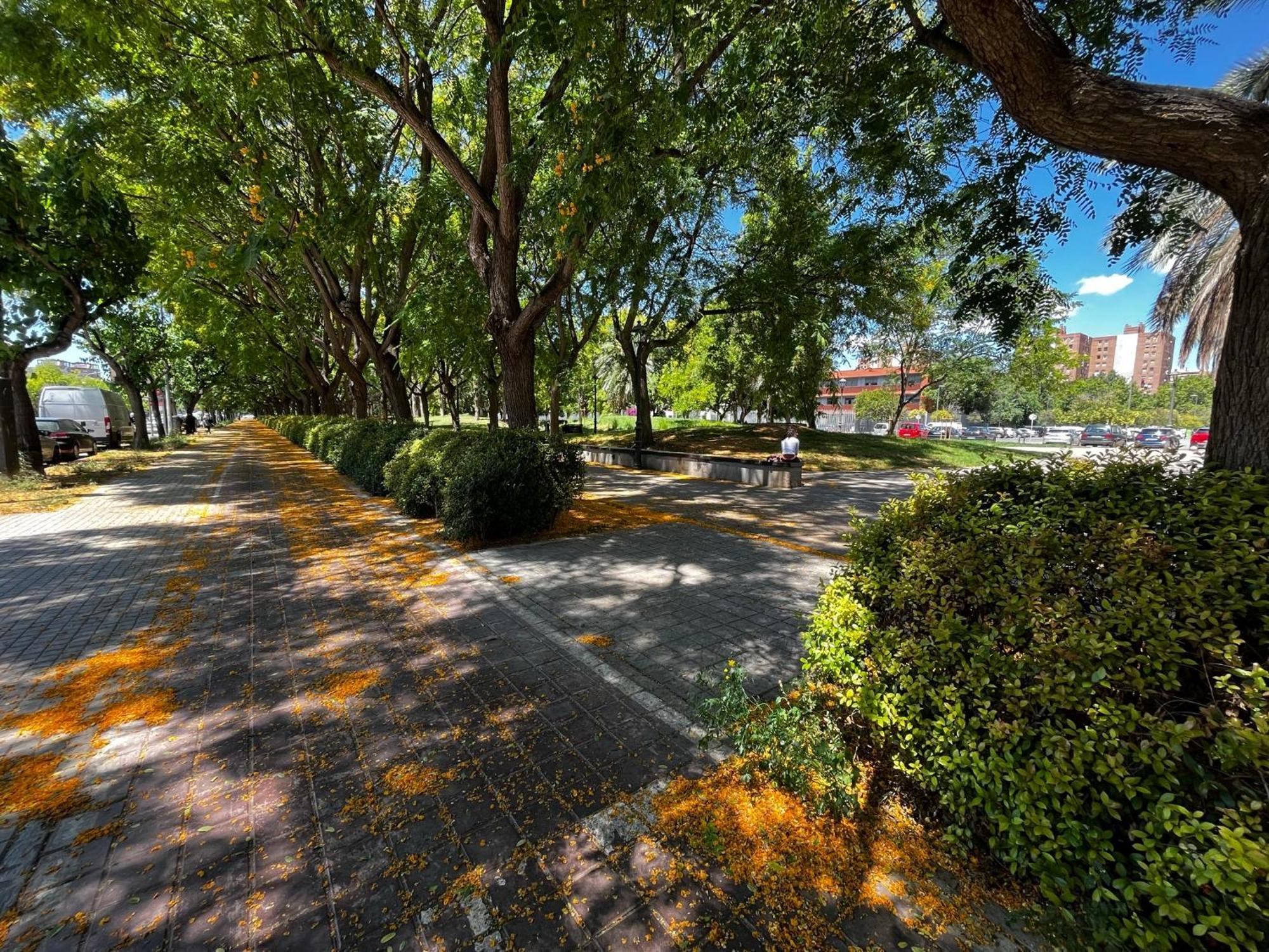 Alojame Valencia Apartment Bagian luar foto