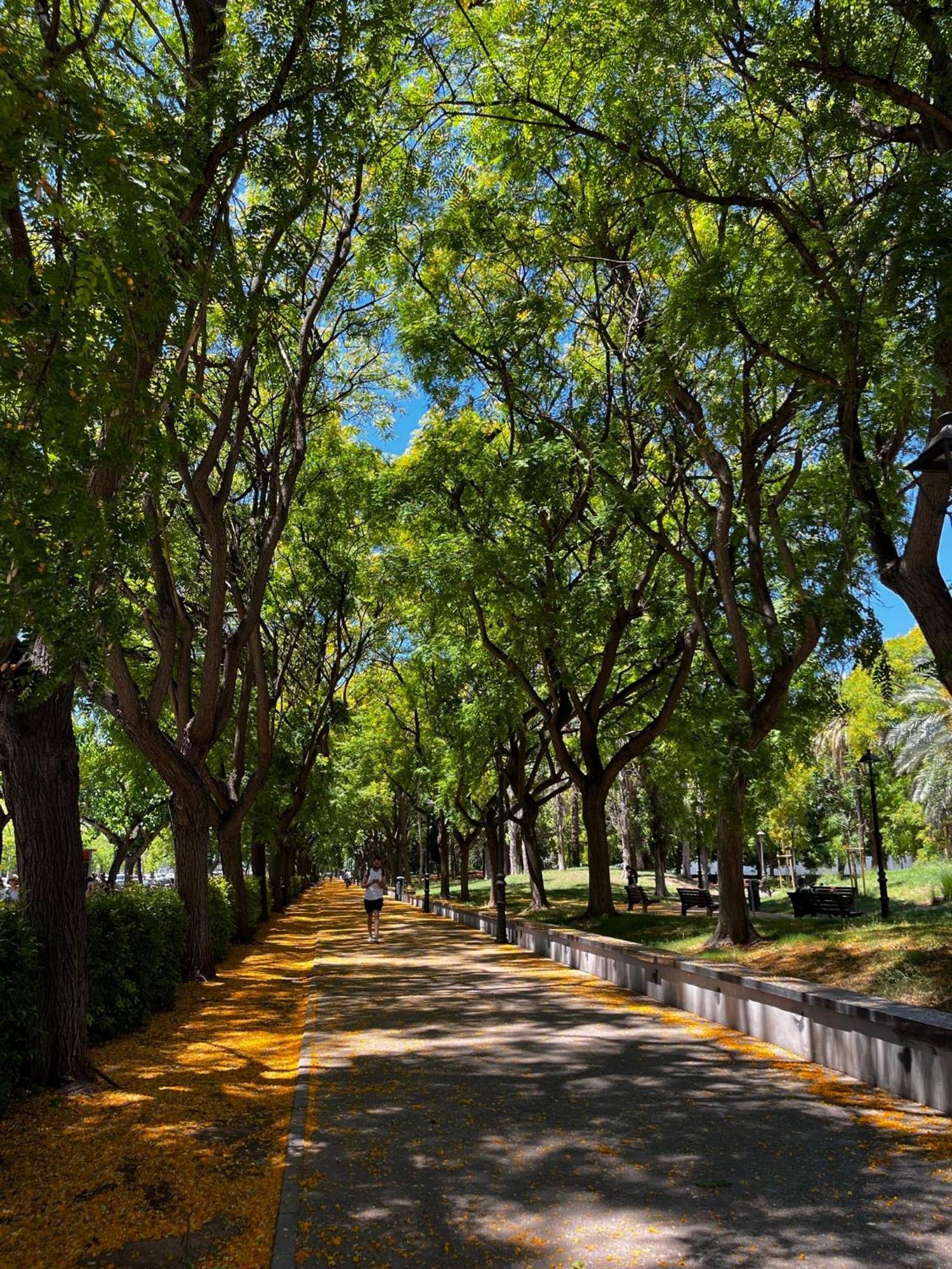 Alojame Valencia Apartment Bagian luar foto